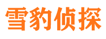 新源捉小三公司